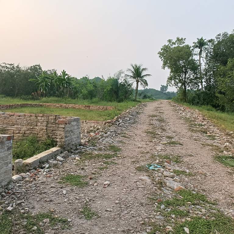  madhuban land Internal Roads & Footpaths