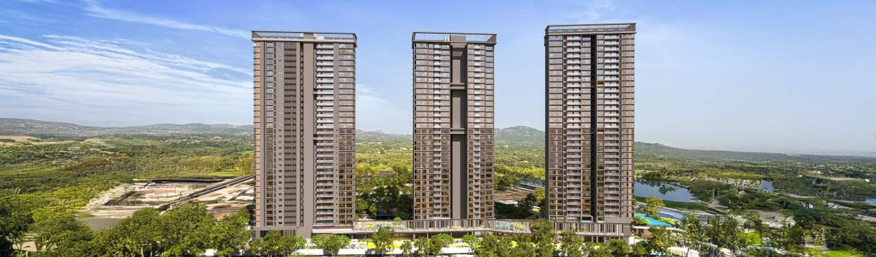  ocean cliffs Elevation