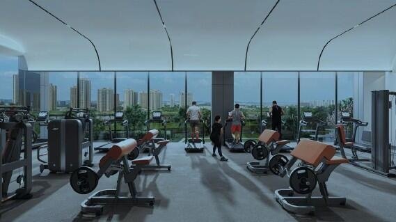  ocean cliffs Gymnasium