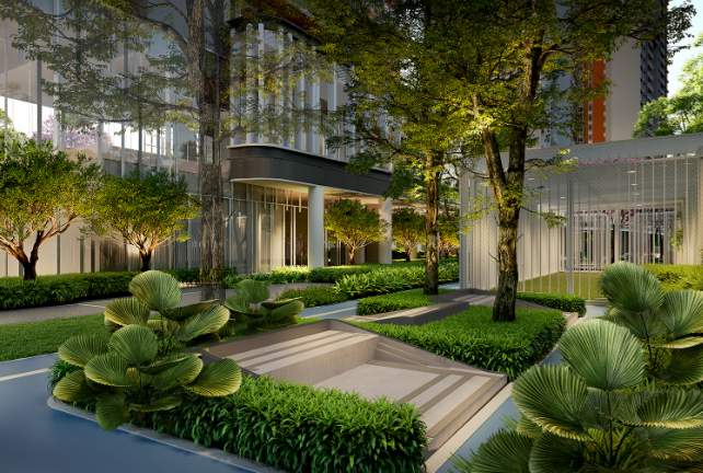  ocean cliffs Landscape Garden and Tree Planting