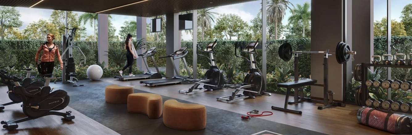  sun platina Gymnasium