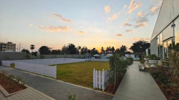  cherry-blossom Others