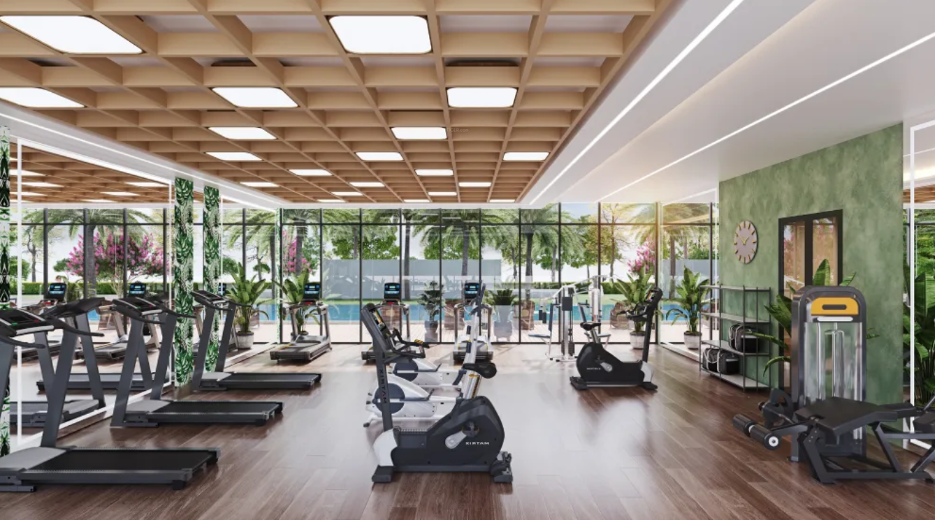  tvs emerald auralis Gymnasium