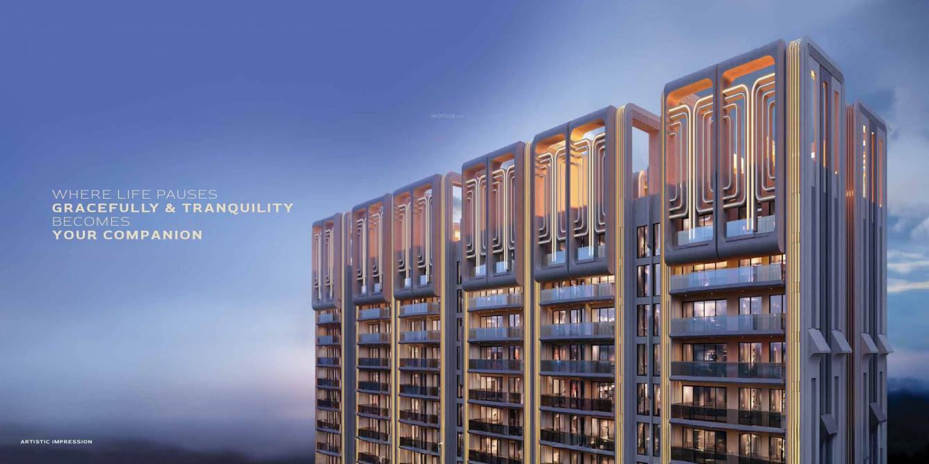  dxp estate Elevation