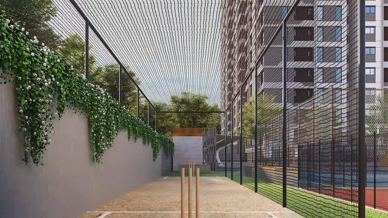  dra iheart Cricket Pitch