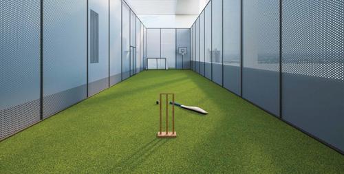 esto-arkis Cricket Pitch