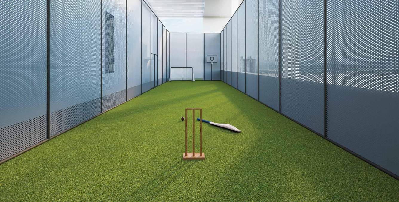  esto arkis Cricket Pitch