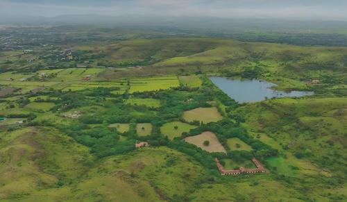  shapoorji-pallonji-treetopia Plot