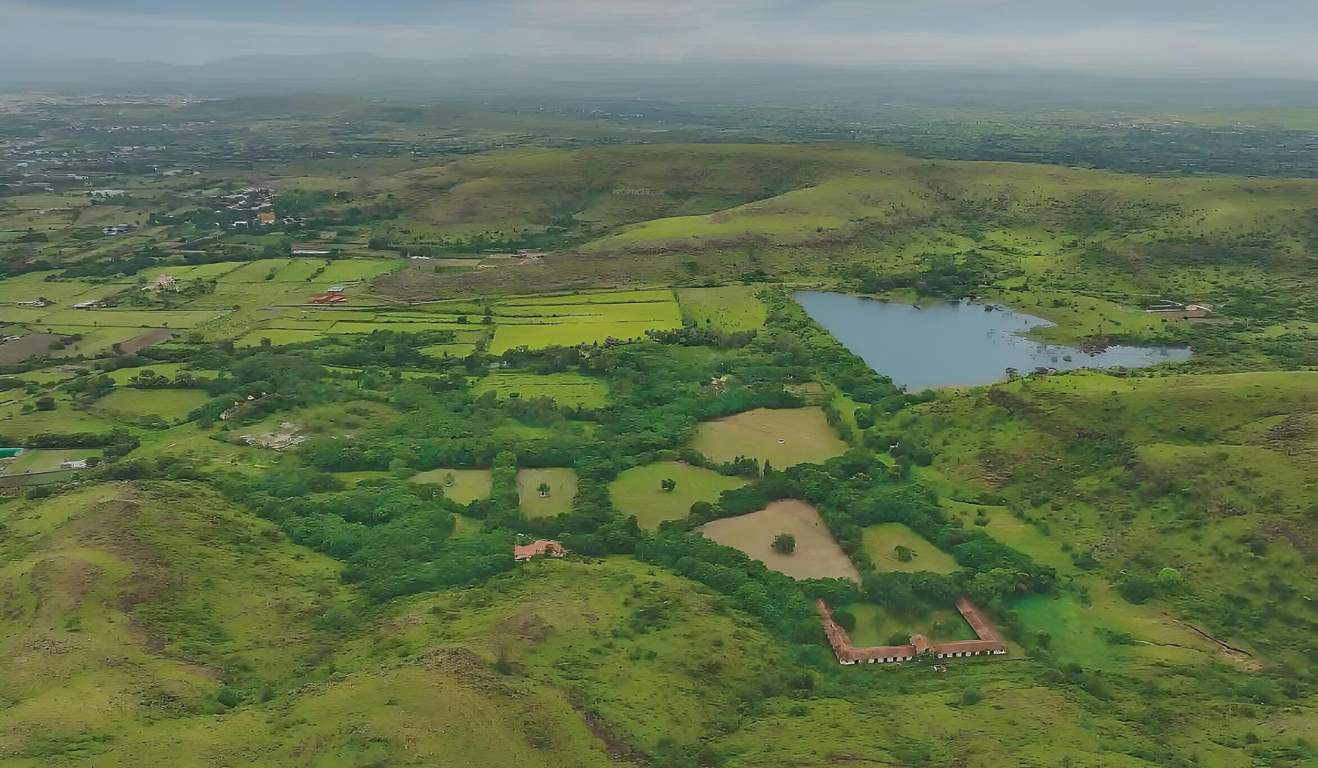  shapoorji pallonji treetopia Plot