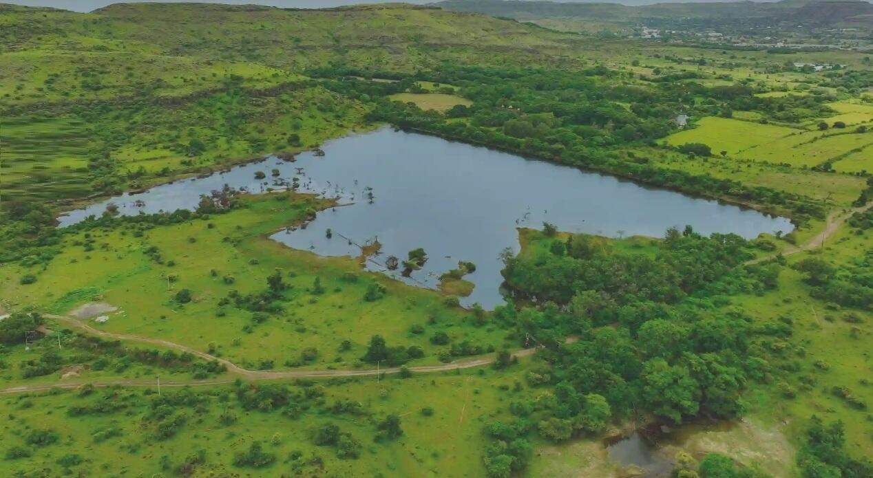  shapoorji pallonji treetopia Plot