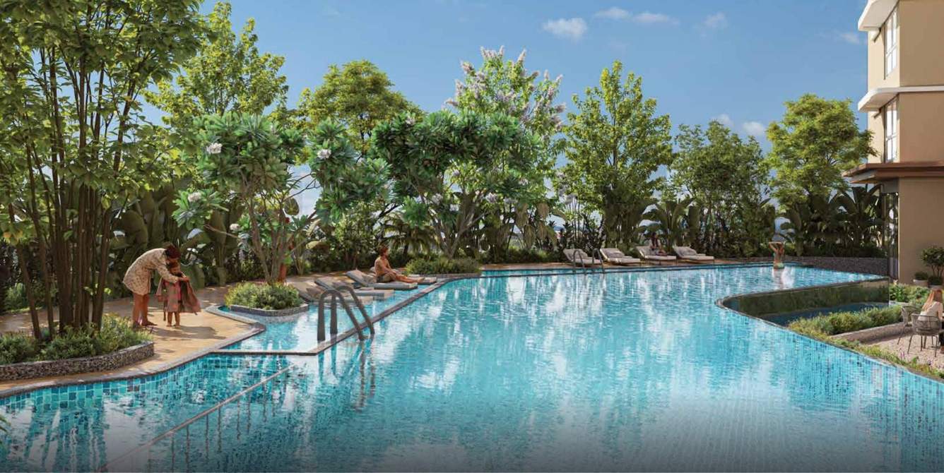  codename coral Swimming Pool