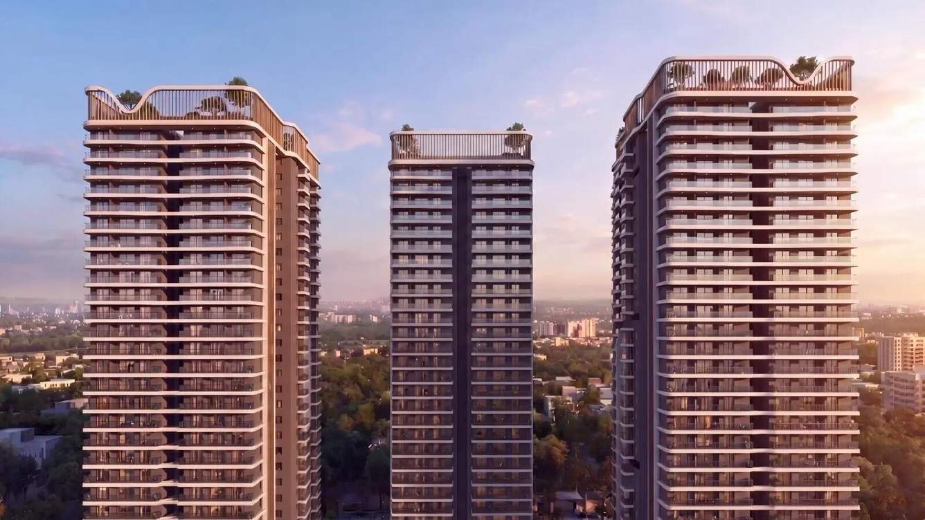  raghava halo Elevation