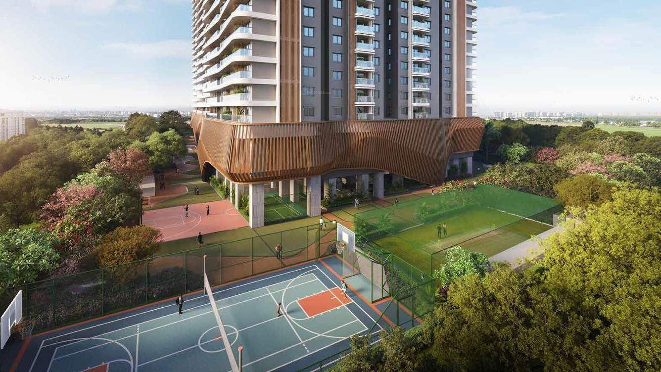  raghava halo Basketball Court