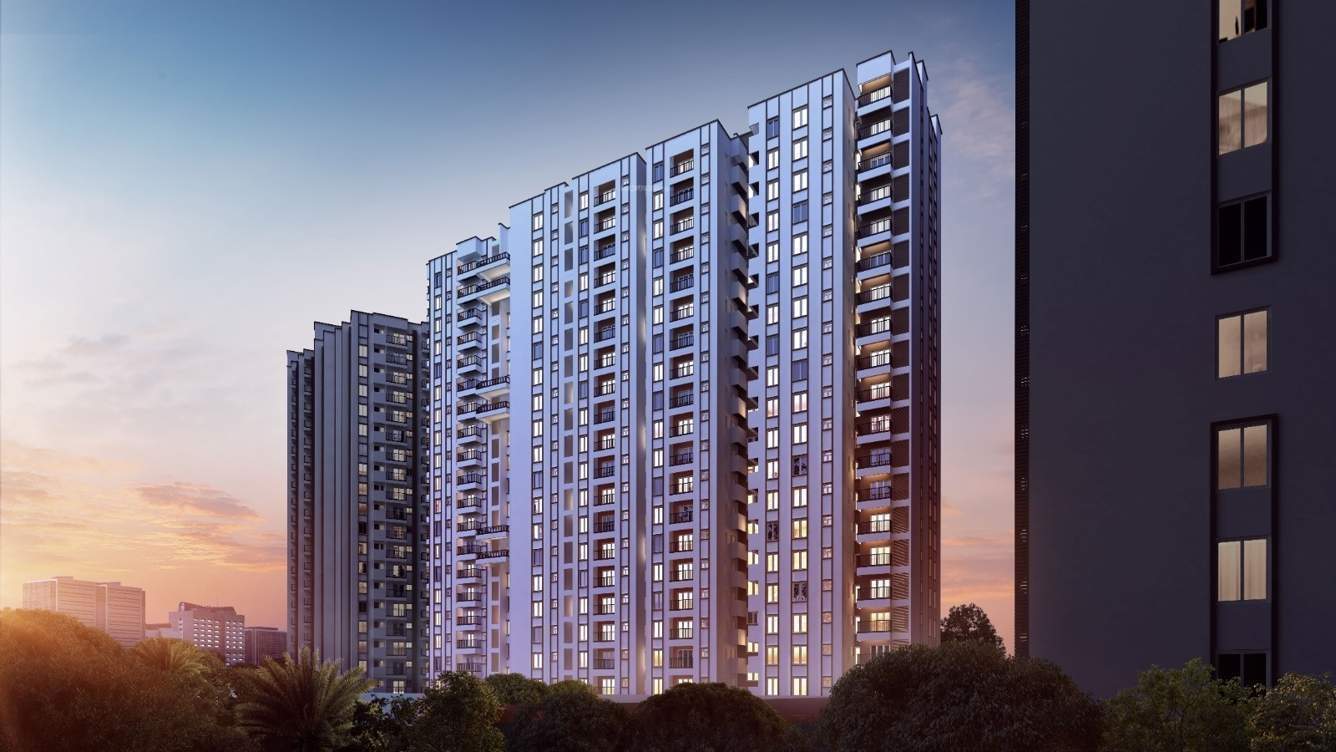  vrx magna 2 Elevation