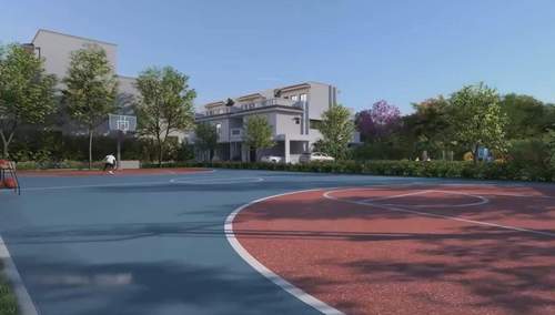 Basketball Court nvt-a-wonderful-world Basketball Court