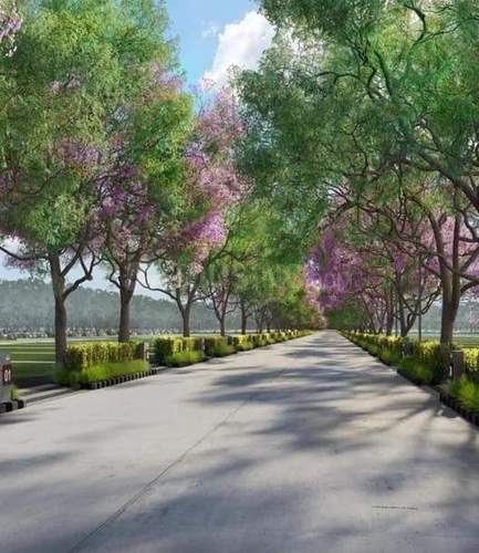  assetz-the-city-of-palms Plot