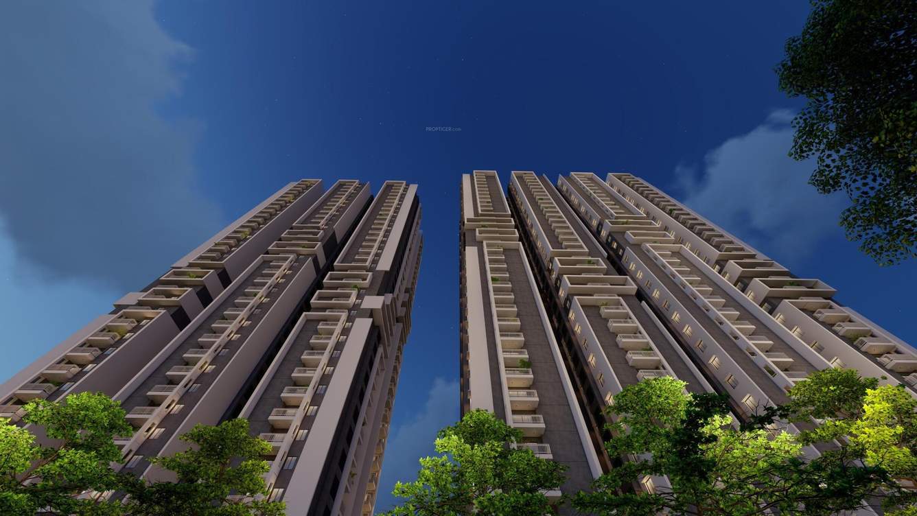  myscape palma Elevation