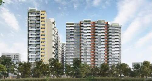  tvs-emerald-avalon Elevation