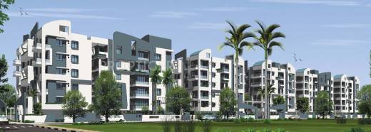 RSRPPL 4 Square Elegant RSRPPL 4 Square Elegant