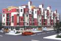 Fortuna Constructions Siri
