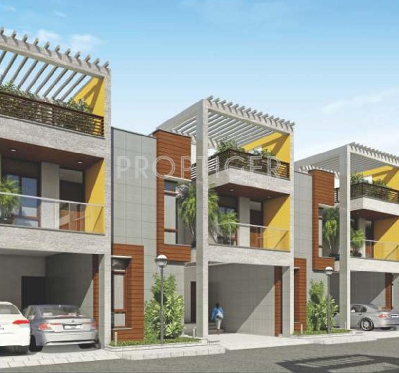 Images for Elevation of Poomalai Gopinath Blossom