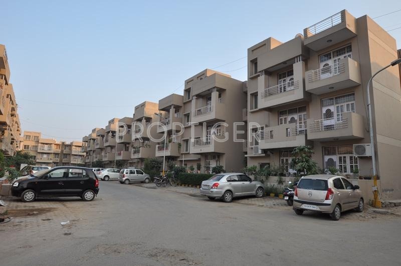 Images for Elevation of SS The Lilac the lilac Images for Elevation of SS The Lilac