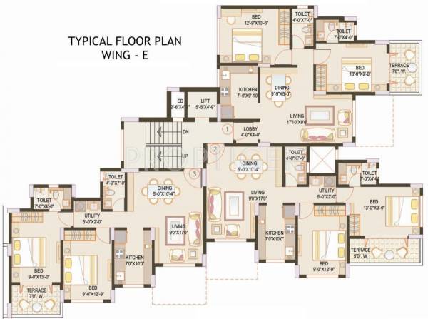  dreamville WingB Cluster Plan
