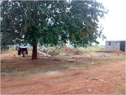 Images for Elevation of Abhivrudhi Property Abhivrudhi Green Homes Images for Elevation of Abhivrudhi Property Abhivrudhi Green Homes