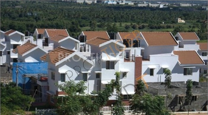 Images for Elevation of Aswani Properties Springdale