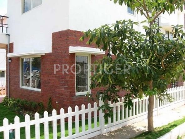 Images for Elevation of Aswani Properties Springdale