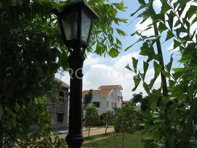 Images for Elevation of Aswani Properties Springdale