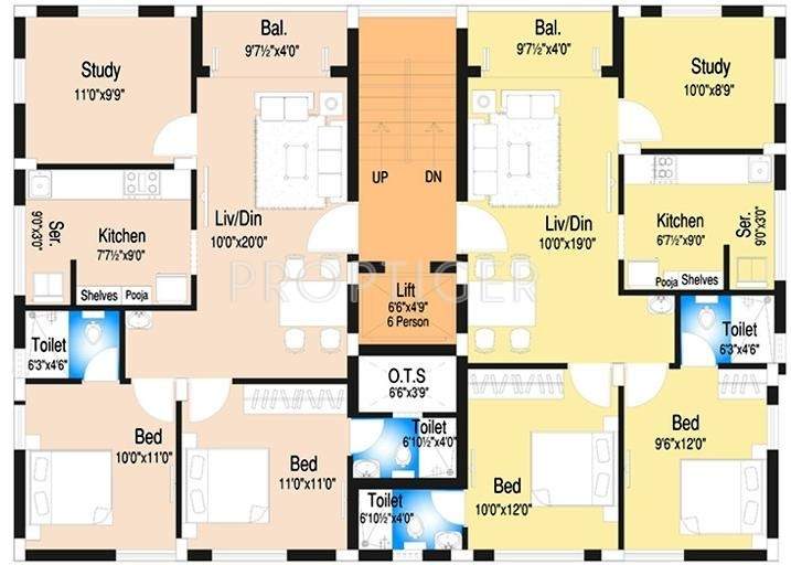  begonia Images for Cluster Plan of DABC Begonia