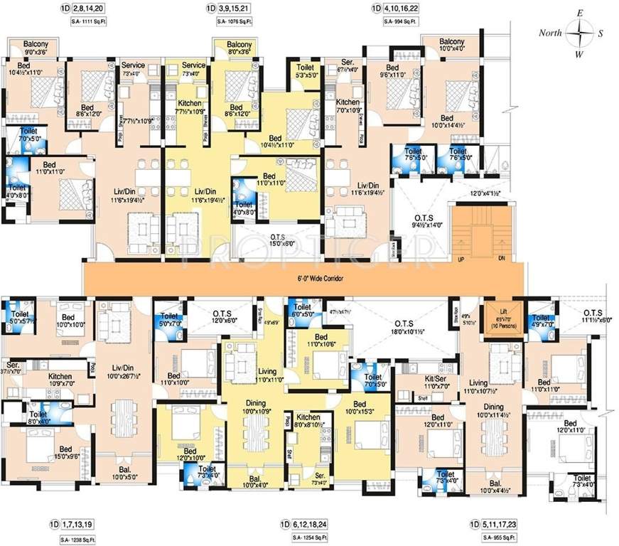  begonia Images for Cluster Plan of DABC Begonia