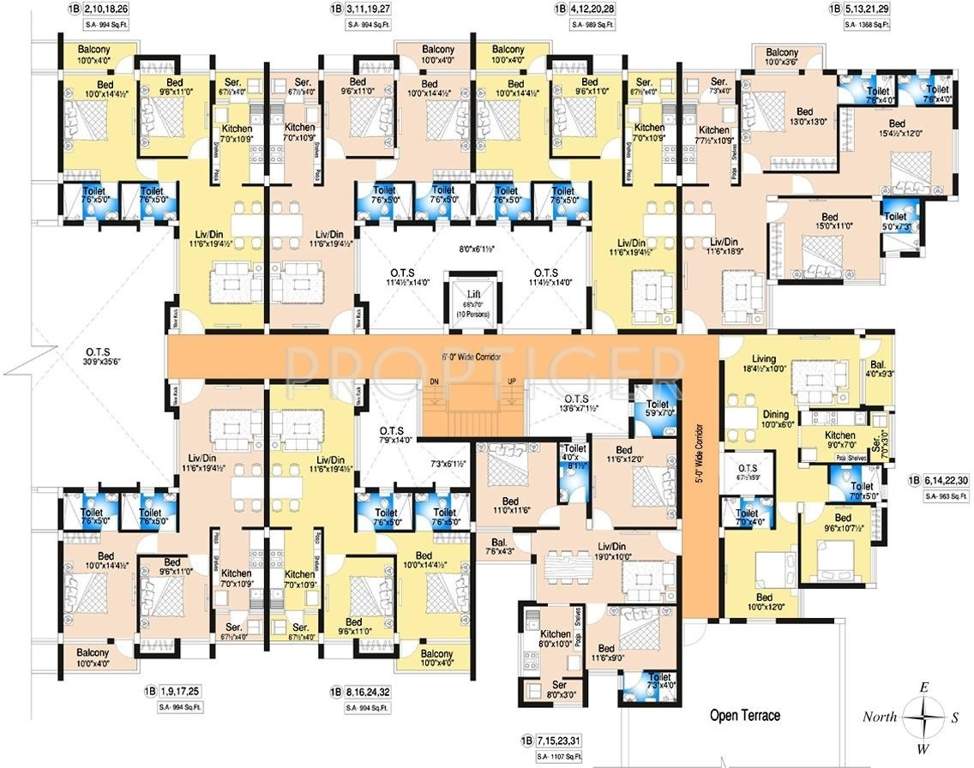  begonia Images for Cluster Plan of DABC Begonia