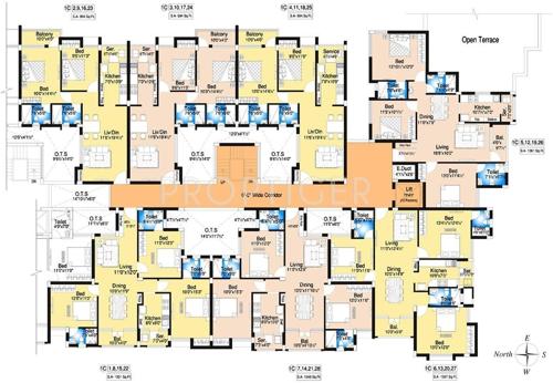  begonia Images for Cluster Plan of DABC Begonia