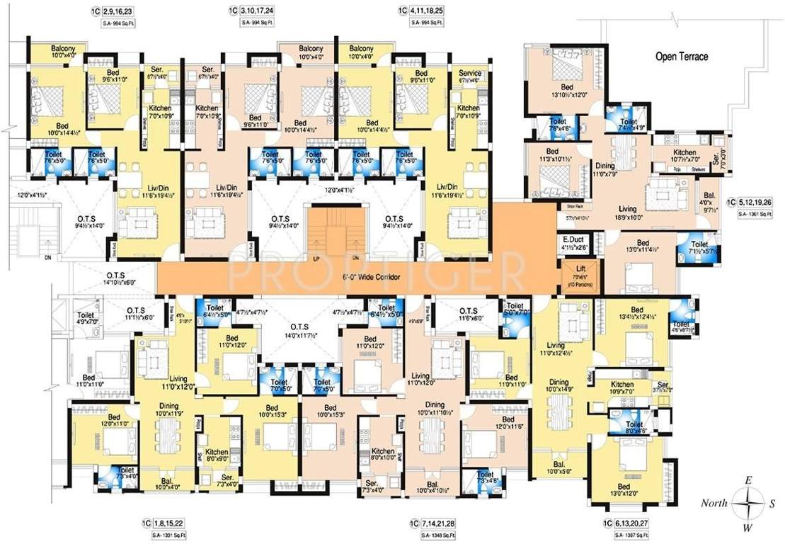  begonia Images for Cluster Plan of DABC Begonia