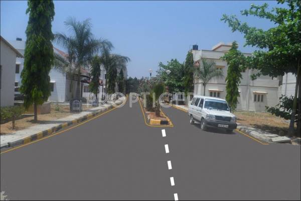 Images for Elevation of Kristal Aquamarine