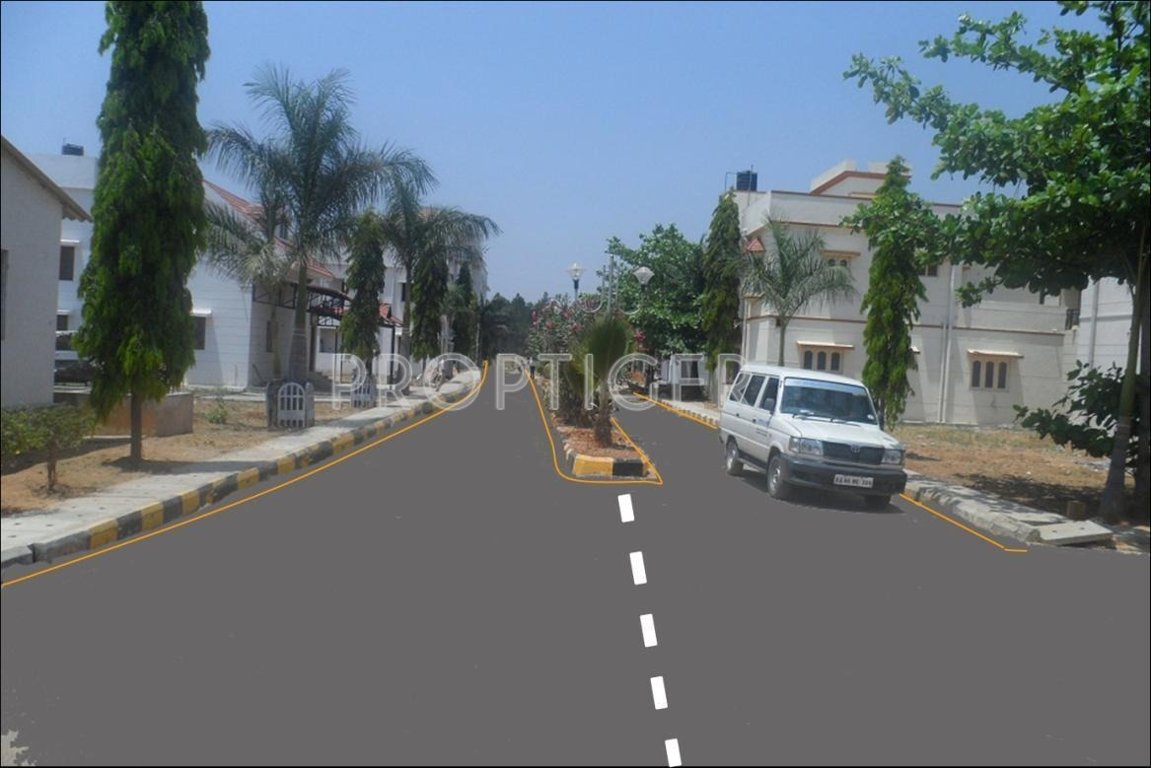 Images for Elevation of Kristal Aquamarine