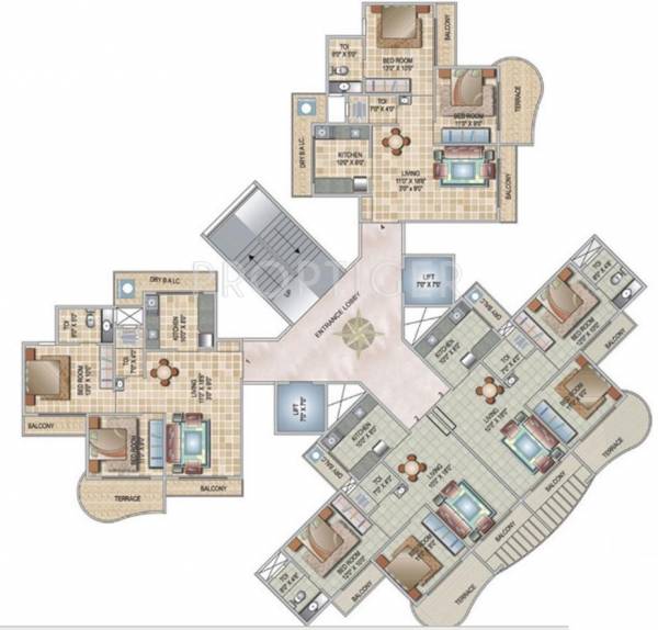 Images for Cluster Plan of Monarch Orchid