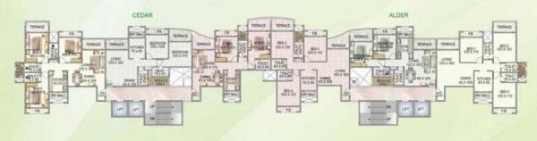 Images for Cluster Plan of Sai Enterprises Tharwani Rosa Bella