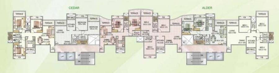 Images for Cluster Plan of Sai Enterprises Tharwani Rosa Bella