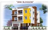 SRM Blossom