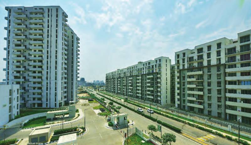  city-homes Elevation