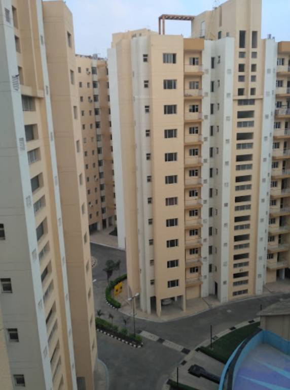  carnation residency Images for Project