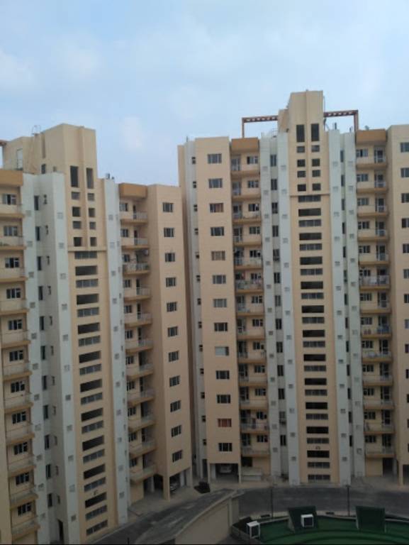  carnation residency Images for Project