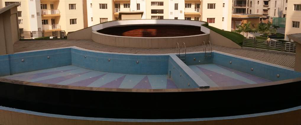  carnation residency Swimming Pool