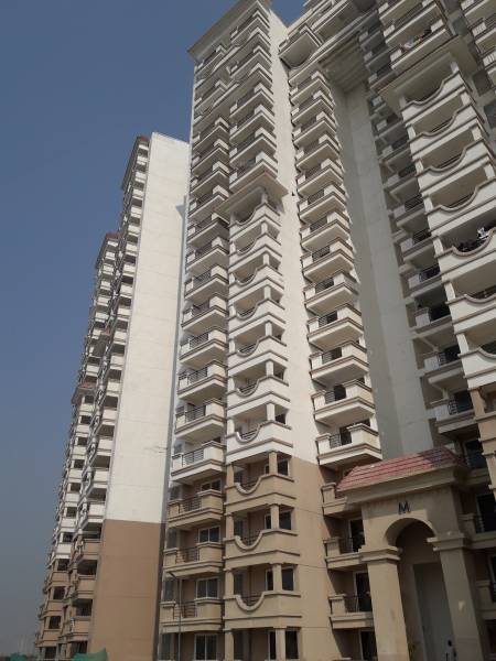  the-atrium Images for Project