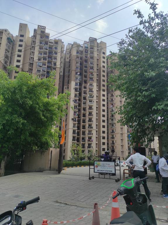  blossom county Elevation