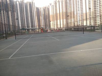 Others blossom-county Others