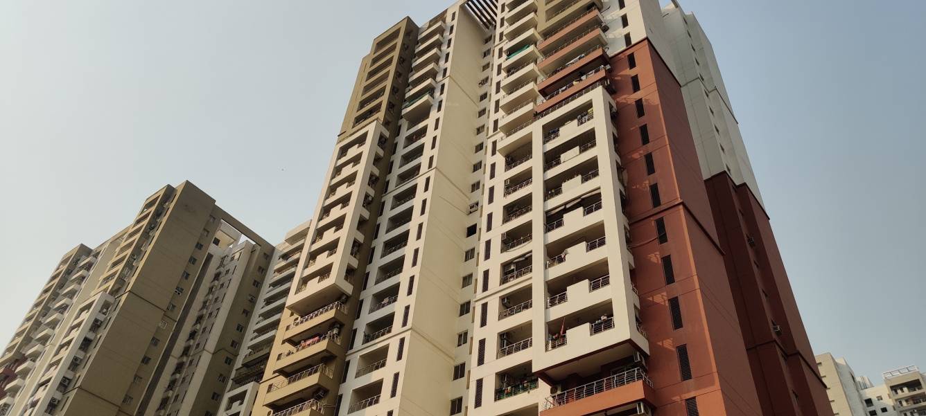 The 3C Lotus Panache